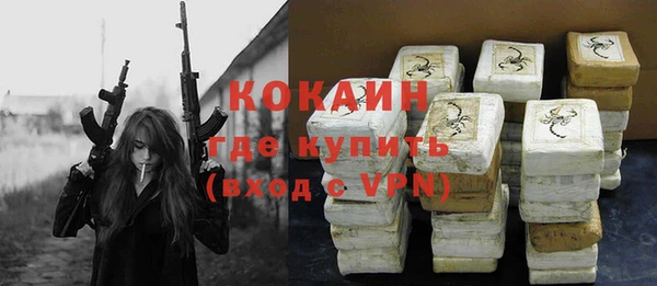 шишки Вязники