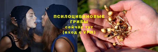 шишки Вязники