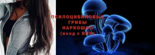 шишки Вязники