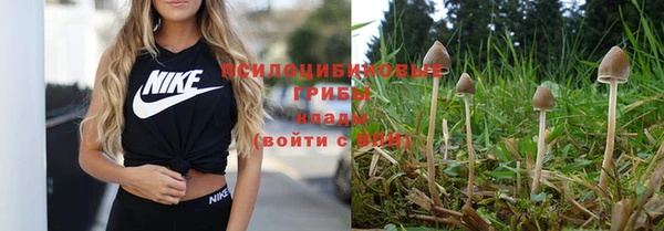 скорость Вязьма