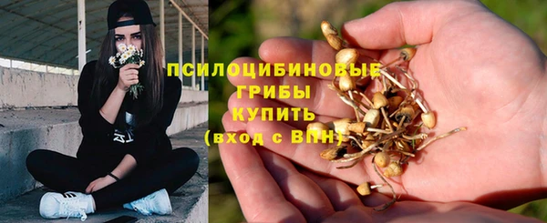 наркотики Горно-Алтайск