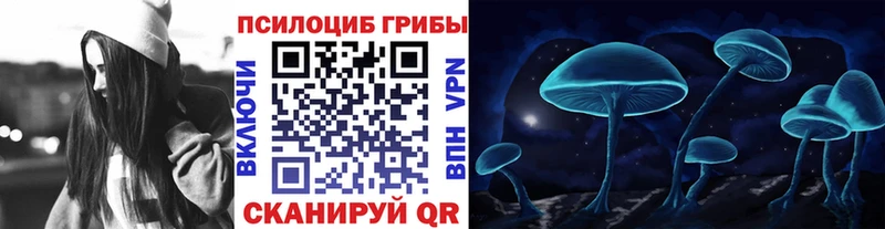 где купить   Железногорск-Илимский  Галлюциногенные грибы Psilocybe 